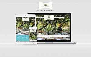 fancy peacock website displayed on laptop, tablet, and phone
